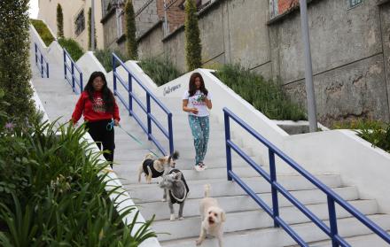 presupuestos participativos barrio orquídeas