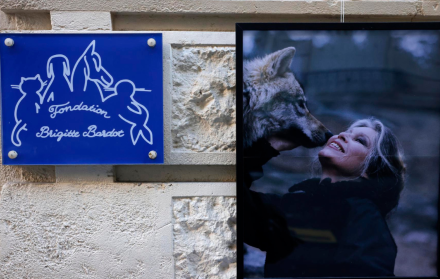 Brigitte Bardot actriz