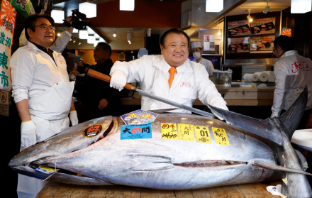 Atún récord más grande del mundo
