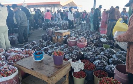TEMPORADA DE FRUTAS Ambato
