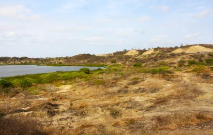 HECTAREAS TERRENOS LA LIBERTAD