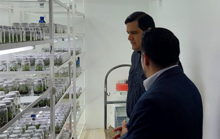 Investigaciones de ESPOL contra FOC R4T