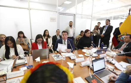 El superintendente de Compañías, Luis Alberto Cabezas-Klaere, acudió a la Comisión de Fiscalización para hablar sobre acciones de GRANASA.