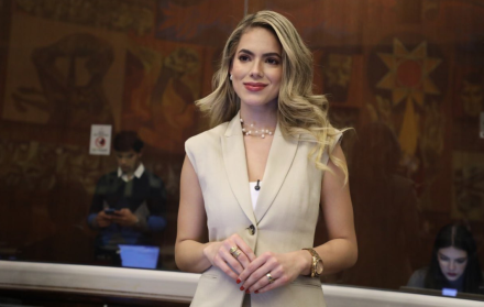 Rosa Torres fue asesora en la Comisión de Desarrollo Económico, presidida por Daniel Noboa; en la Corte Nacional de Justicia y en la Presidencia.