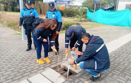 OPERATIVO LIBADORES E (14056869)