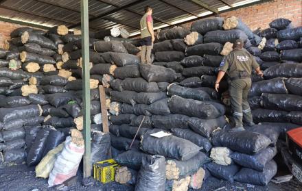 Policía UPMA MADERA