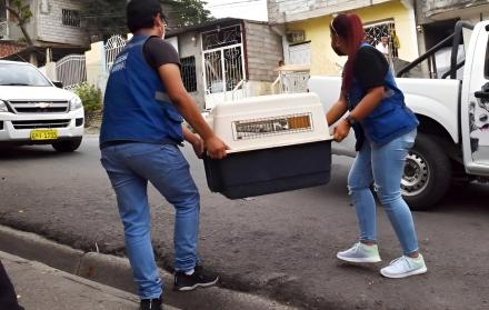 operativo de Proanimal en Guayaquil