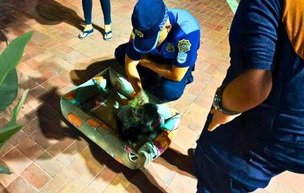 segura ep malecon perra