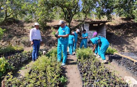 INFO GENERAL PELILEO