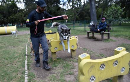 Quito cuidado animales