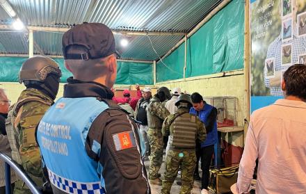 gallera clandestina clausurada