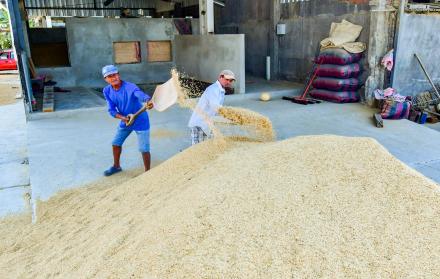 FRANCISCO FLORES  - 21102025 - ARROZ (28) (1)