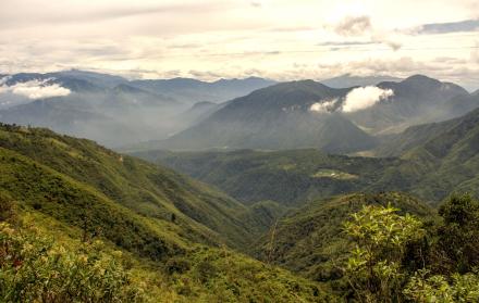 Foto de Sistema Grana (13360950)
