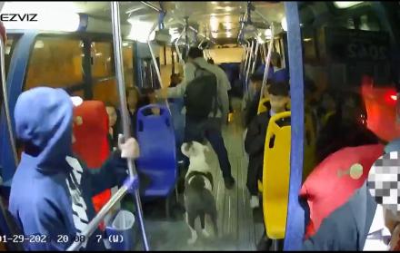 robo a transporte publico en Quito