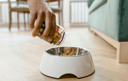 La comida de animales incrementó de precio entre finales de enero y principios de febrero.