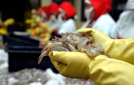 Industria acuícola de Ecuador