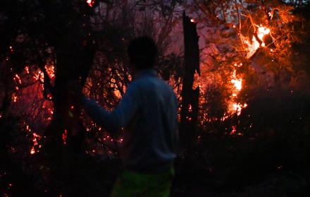 incendios forestales Patagonia