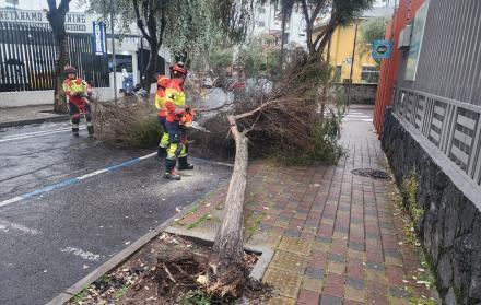 emergencia por lluvias en Quito