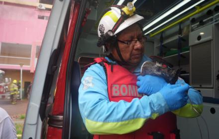bomberos gato incendio Multicomercio 11 feb 26