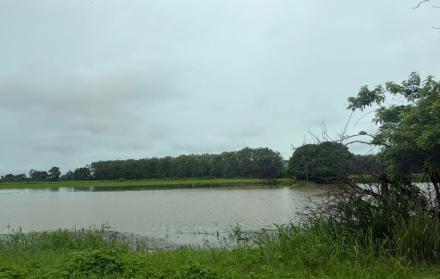 INUNDACIONES EN LOS RÍOS