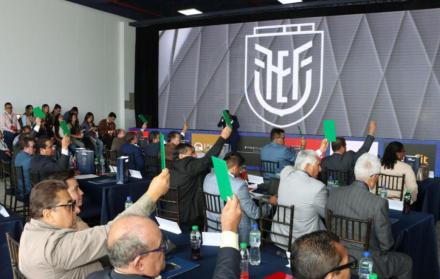 Elecciones en la fef francisco egas