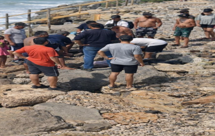 Un delfín apareció varado durante el feriado de Carnaval en la playa de Crucita.