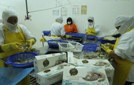 Exportación de camarón de Ecuador