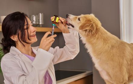 Medicina para animales