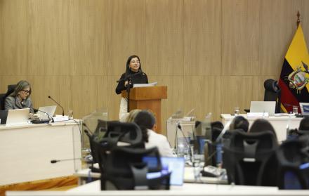 concejo metropolitano de Quito