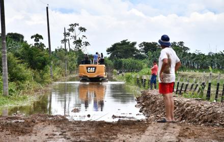 inundaciones - fusarium  (2)