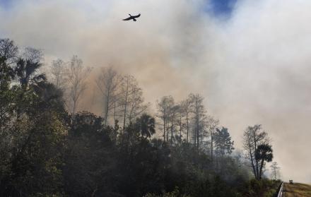 Parque Nacional Big Cypress,