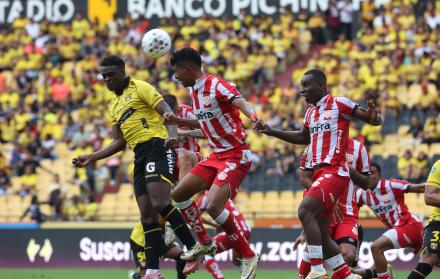 Técnico Universitario