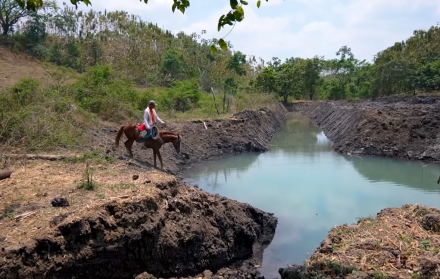 Trabajo en albarradas en Guayas