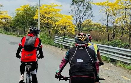 Ciclistas de la calle