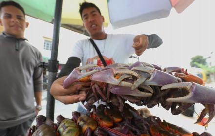 Veda de cangrejo 2026