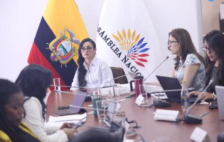 Viviana Veloz, presidenta de la Comisión de la Niñez