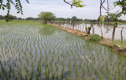 Recinto Los Quemados