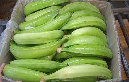 Plátano verde
