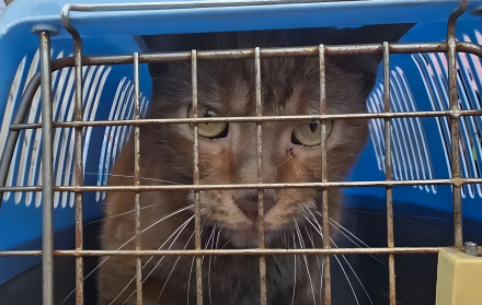 Edificio Multicomercio