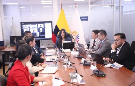 Diana Jácome, presidenta de la Comisión de Participación, dio inicio a las comparecencias para fiscalizar los efectos del fallo de la CC sobre las solicitudes de los adolescentes para el cambio de género en el Registro Civil.