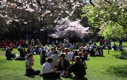 Varias personas se sientan bajo los cerezos en Londres, Gran Bretaña