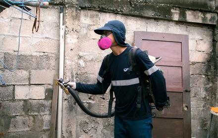 fumigación contra el dengue en Guayaquil