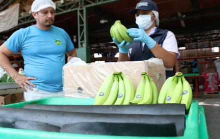 banano trabajadores