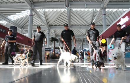Mundo, aeronáutica, México, Mascotas