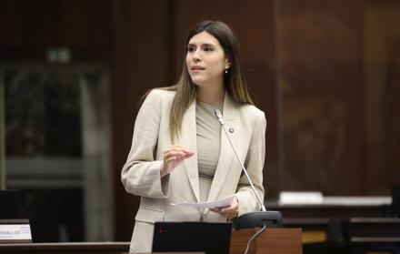 La asambleísta Valentina Centeno (ADN) dijo que el incentivo tributario propuesto en la Ley urgente de Noboa permitirá motivar la construcción de vivienda de manera más eficiente.