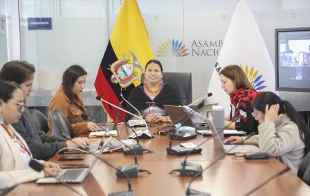 Comisión de Educación, Cultura, Ciencia , Tecnología y Saberes Ancestrales