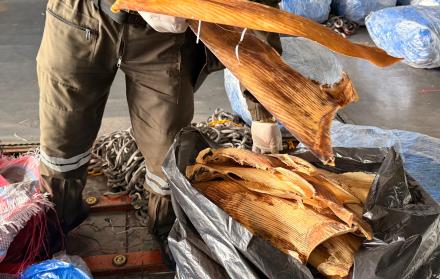 Decomiso aletas de tiburón.