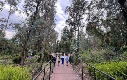 Parque Bosque Cumbayá