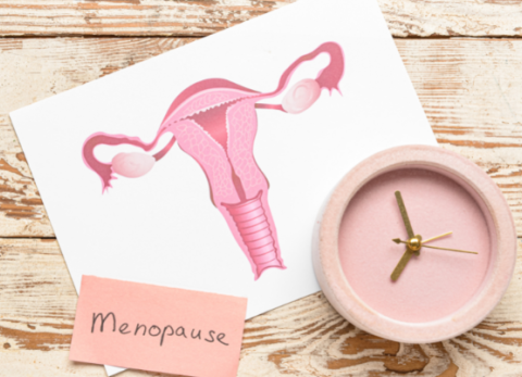 D&iacute;a Mundial de la Menopausia: el fin de los ciclos menstruales y la fertilidad