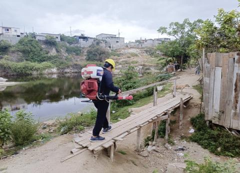 Dengue: Ecuador suma 31 decesos y una cifra de casos igual a la de todo 2023